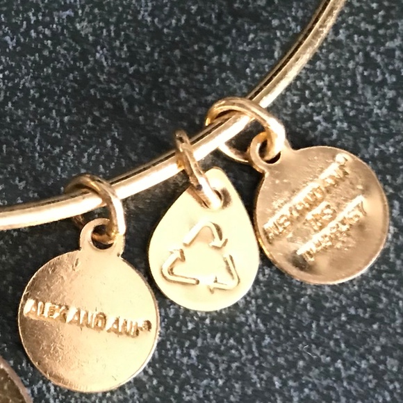 Alex and Ani Expandable Wire Bracelet - Picture 13 of 13